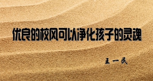 1600149556675501.jpg 510conew1.jpg